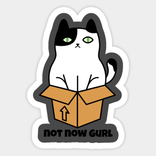 Cat not now Gurl Sticker